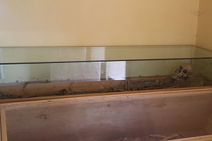 Geschichte erleben auf der Pfalz Tilleda