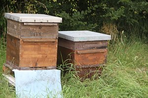 Geschichte erleben auf der Pfalz Tilleda