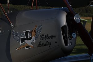 Katastrophe bei Flugshow