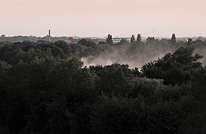 Spinnen im Mondschein am Goitzsche See