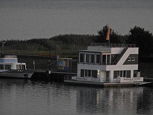 Spinnen im Mondschein am Goitzsche See