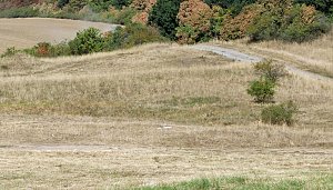 Natura 2000