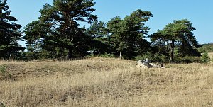 Natura 2000