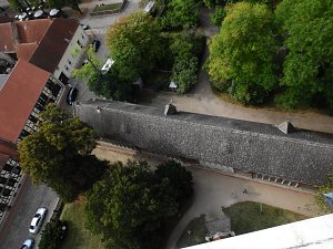 Kirche im Wörlitzer Park