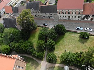 Kirche im Wörlitzer Park