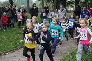 Stadtparklauf