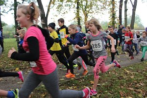 Stadtparklauf