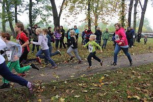 Stadtparklauf