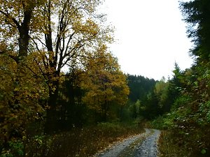 Unterwegs im sch&ouml;nen Harz