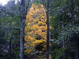 Unterwegs im sch&ouml;nen Harz