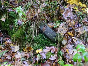 Unterwegs im sch&ouml;nen Harz