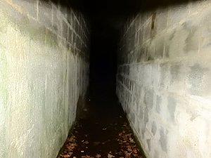 Spaziergang in Treseburg