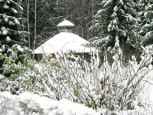 Unterwegs im winterlichen Harz