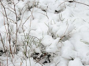 Unterwegs im winterlichen Harz