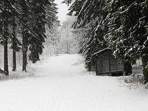 Unterwegs im winterlichen Harz