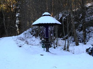 K&ouml;nigsh&uuml;tter Wasserfall