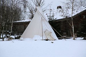 Schlittenhunderennen in Hasselfelde