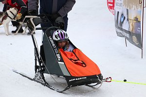 Schlittenhunderennen in Hasselfelde