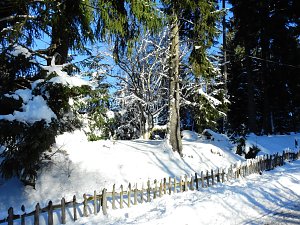 Spaziergang in Rotacker