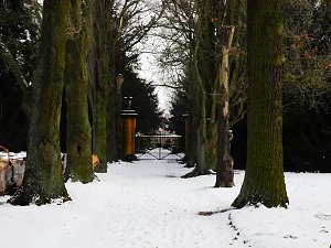 Peter Blei unterwegs - Schloss Mosigkau