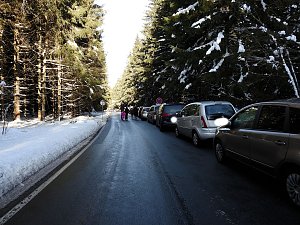 Schlittenhunderennen in Benneckenstein