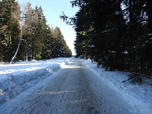 Schlittenhunderennen in Benneckenstein