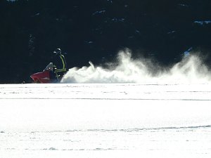 Schlittenhunderennen in Benneckenstein