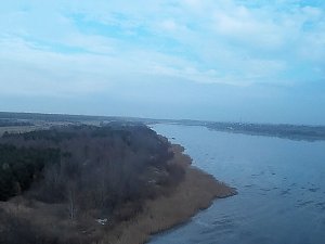 Wildgänse am Köckernsee