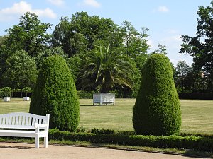Lustwandeln im Park von Oranienbaum