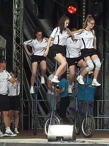 Sachsen-Anhalt-Tag