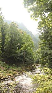 Sonntagswanderung bei Thale