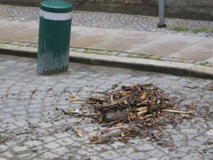 Am Mittwoch in Wernigerode
