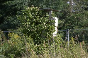An der Piste und in der Stadt