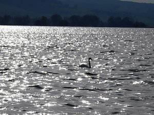 Sommerabend am Stausee Kelbra