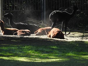 Zu Gast im Tierpark Dessau