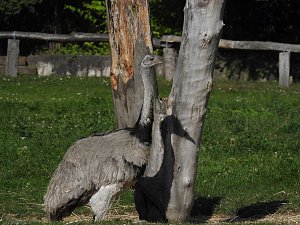 Zu Gast im Tierpark Dessau