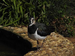 Zu Gast im Tierpark Dessau