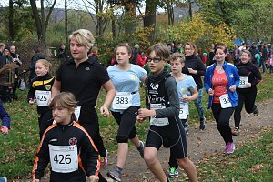 24. Stadtparklauf in Sondershausen (1)