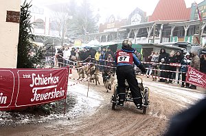 Schlittenhunderennen in Pullmann City II