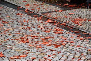 Dauereinsatz f&uuml;r Hettstedter Wehr