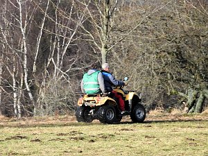 Schlittenhunde rennen rund um Benneckenstein