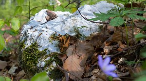Fotoworkshop-Wochenende auf dem Karstwanderweg