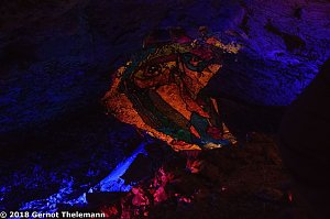 In einem ganz besonderen Licht