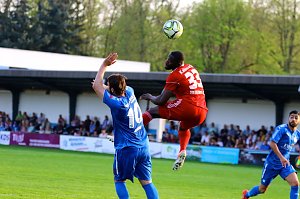 2:1 gegen Neustrelitz gewonnen