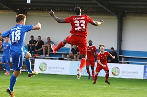 2:1 gegen Neustrelitz gewonnen