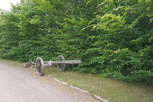 Handwerkermarkt zum Mitsommer
