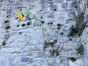Zu Gast auf Schloss Pl&ouml;tzkau