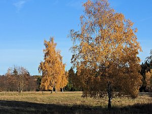 Herbst im Harz