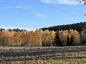 Herbst im Harz