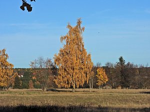 Herbst im Harz